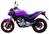 2012 Veli VL200GS-5 photo